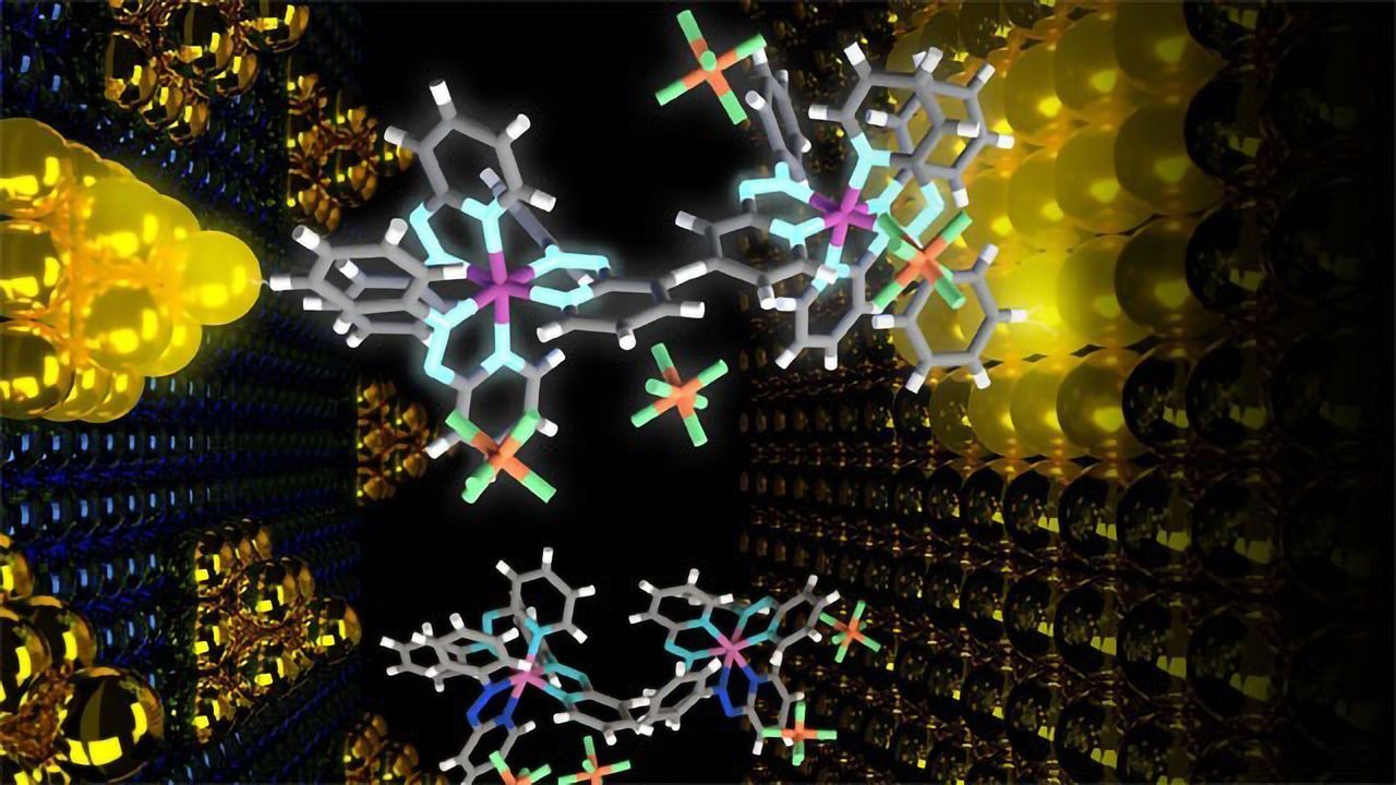 How Organic Memory Devices Can Change Computing