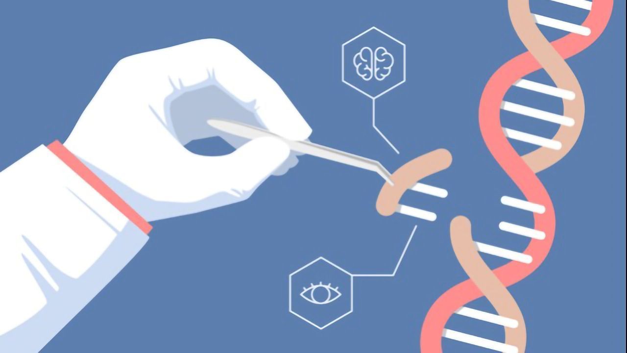 The Golden Age of Genome Editing