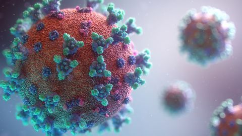 Novel Compounds Designed To Inhibit SARS-CoV-2 Main Protease