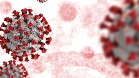 A New Biosensor for SARS-CoV-2 Detection