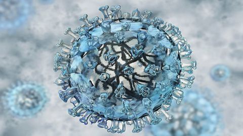 New Microneedle Array Combination Vaccine Delivery System