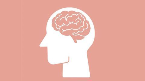 Spinal Cord Injuries Increase Mental Health Disorder Risk
