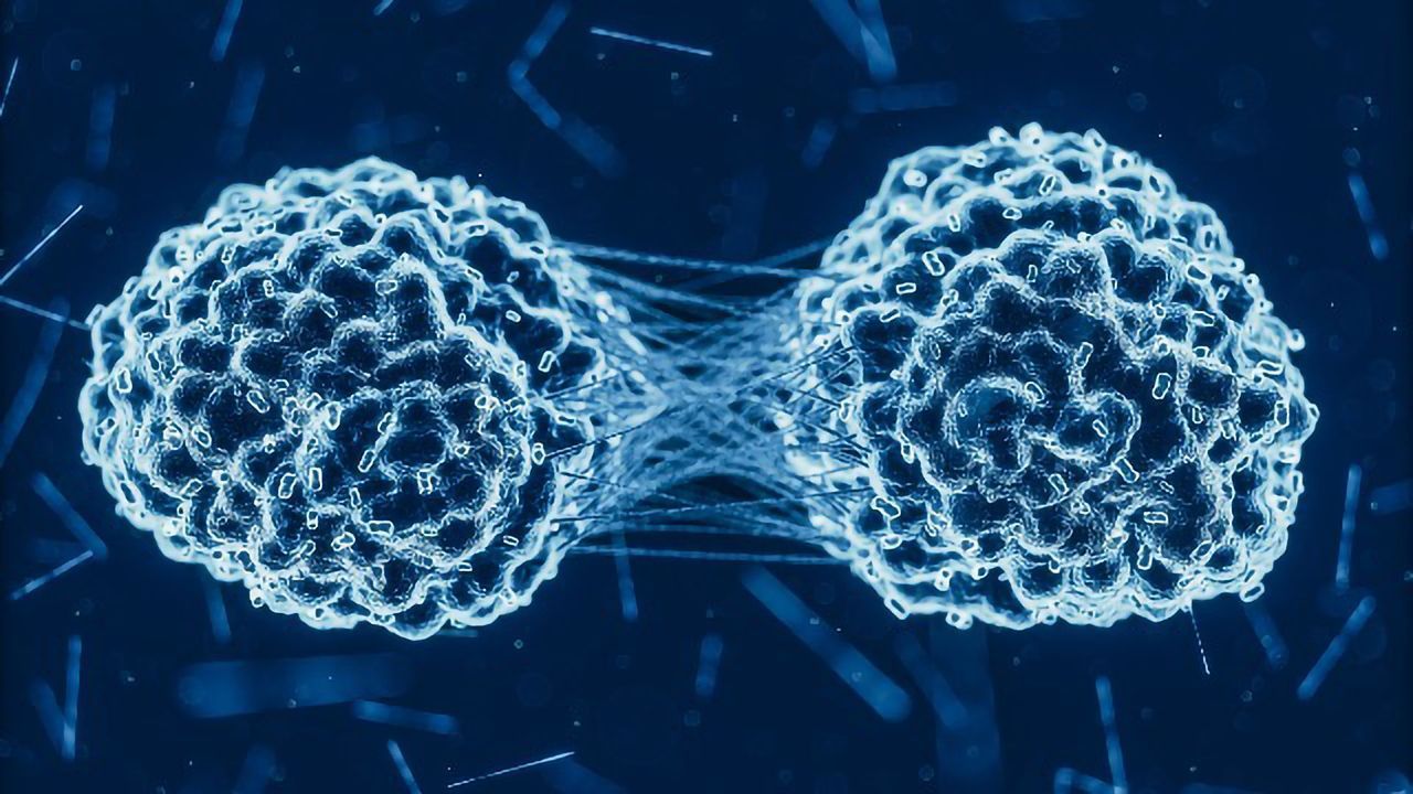 Cellular Mechanism Discovered That Protects Against Cancer