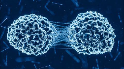 Cellular Mechanism Discovered That Protects Against Cancer