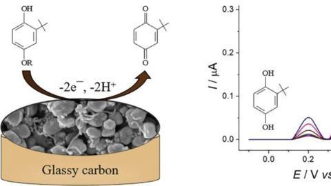 Food Safetly Analysis Boosted by Novel Sensor