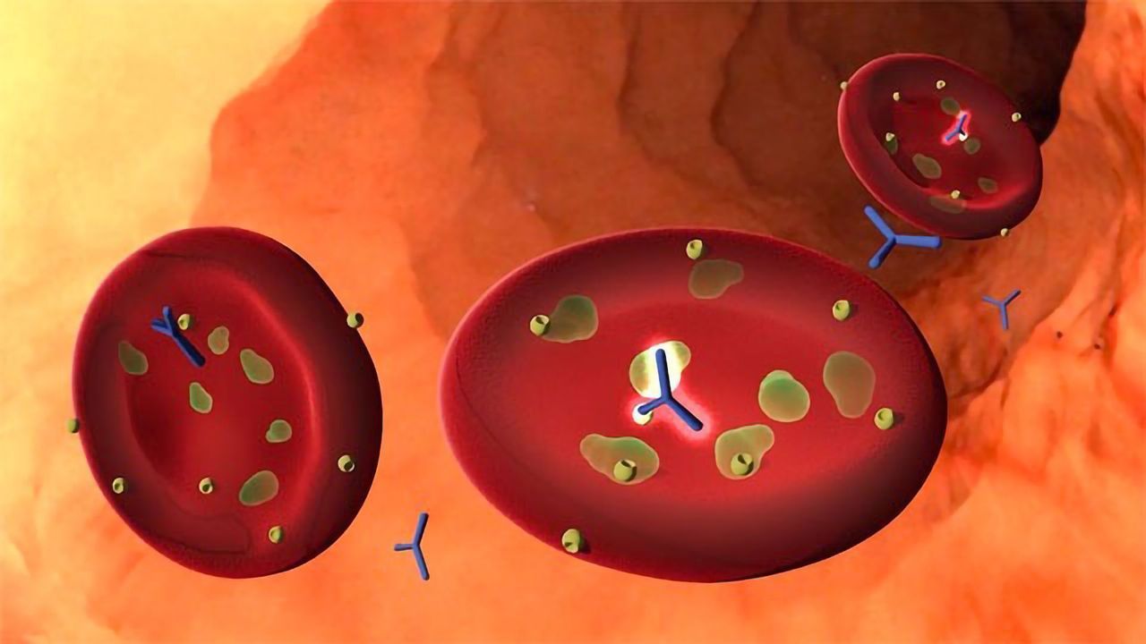 A Promising New Strategy for Combating Malaria