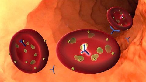 A Promising New Strategy for Combating Malaria