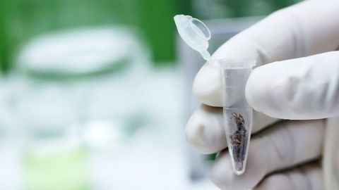 How Can Cannabis Labs Help With Covid-19 Testing? A Q&A With Ben Orsburn