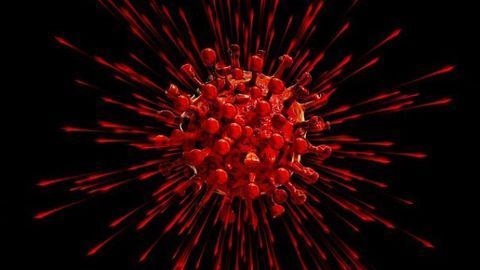 Assessing the Most Promising Strategies for Defeating Coronavirus