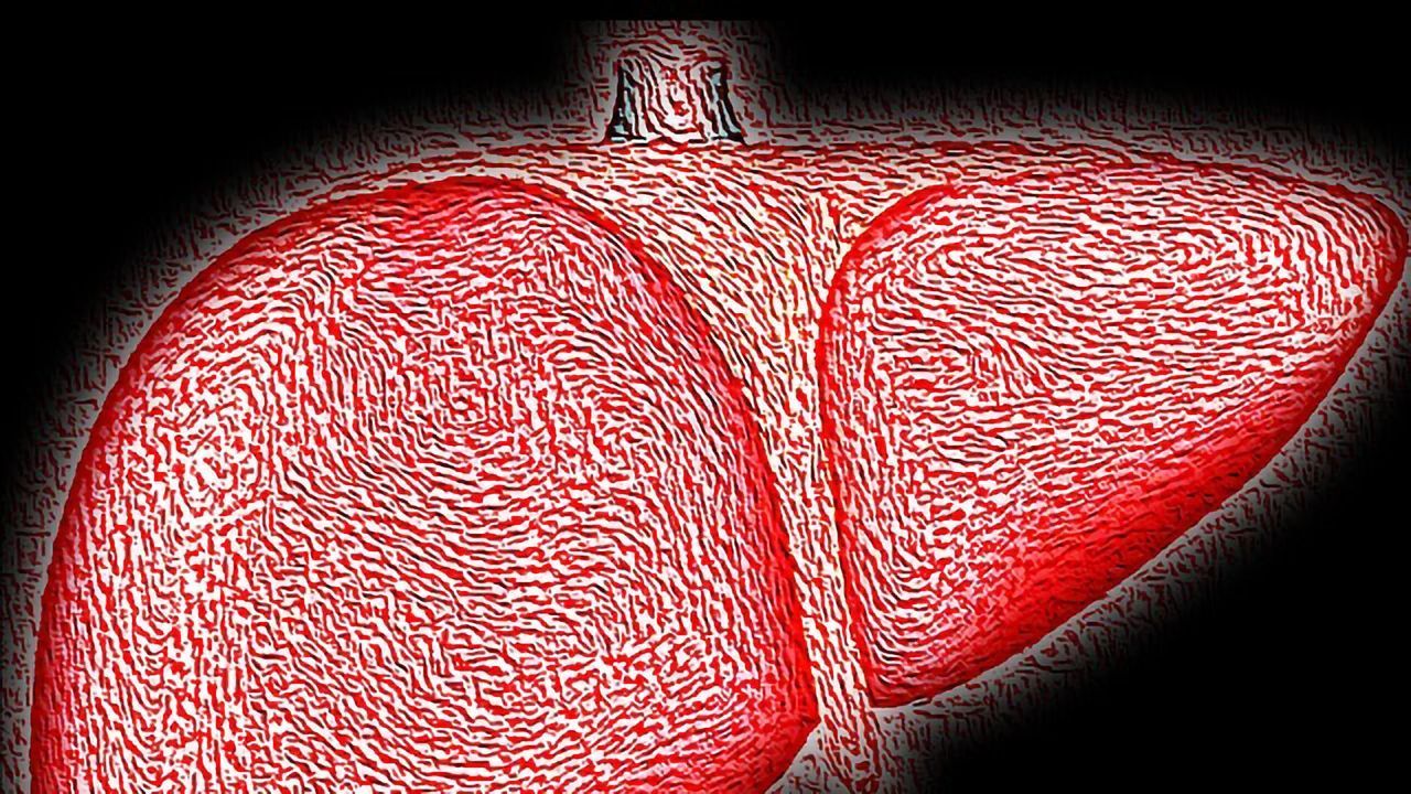 How the Immune System Responds to Hepatitis C Infection