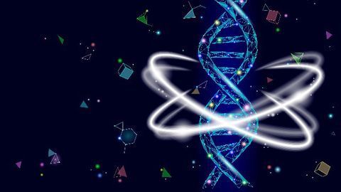 Syphilis Shuffles DNA To Escape the Immune System