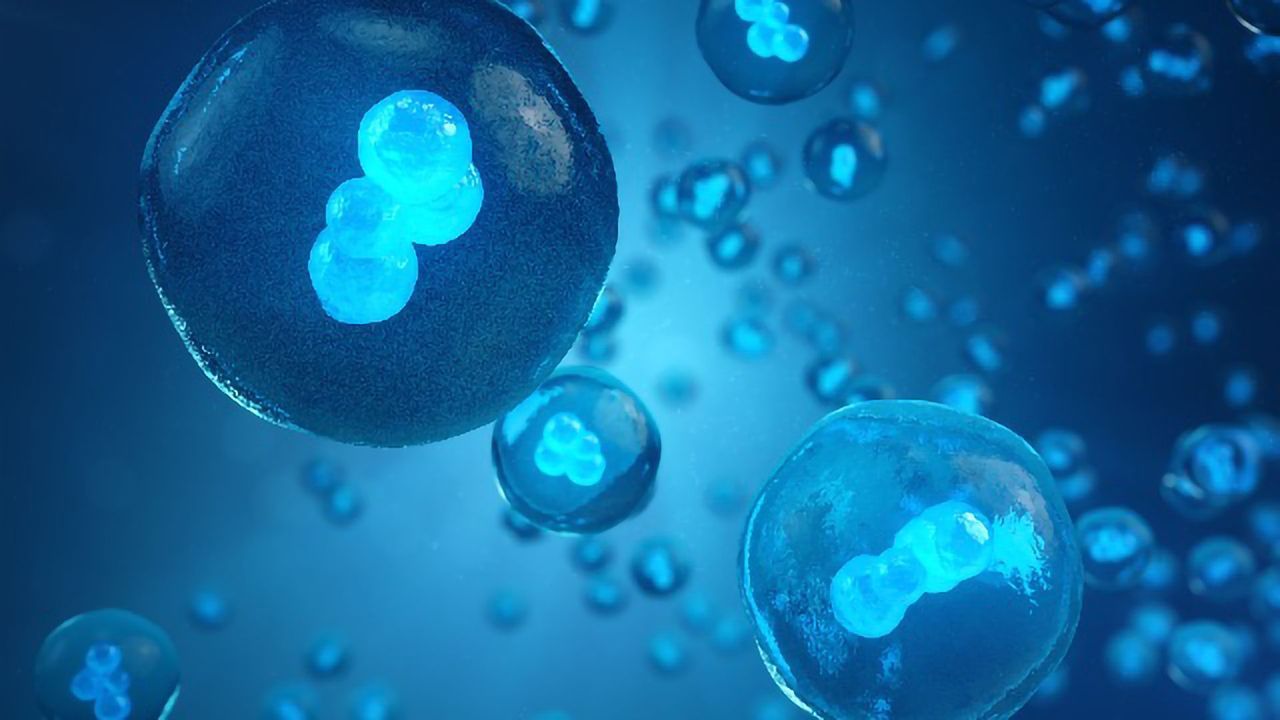 Clinical Trial Tests Stem Cell Therapy Against COVID-19