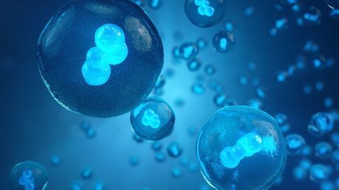 Clinical Trial Tests Stem Cell Therapy Against COVID-19