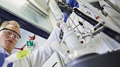 Keeping Enzymes in Shape