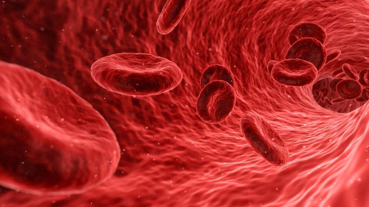 New Alzheimer's Disease Blood Test Developed