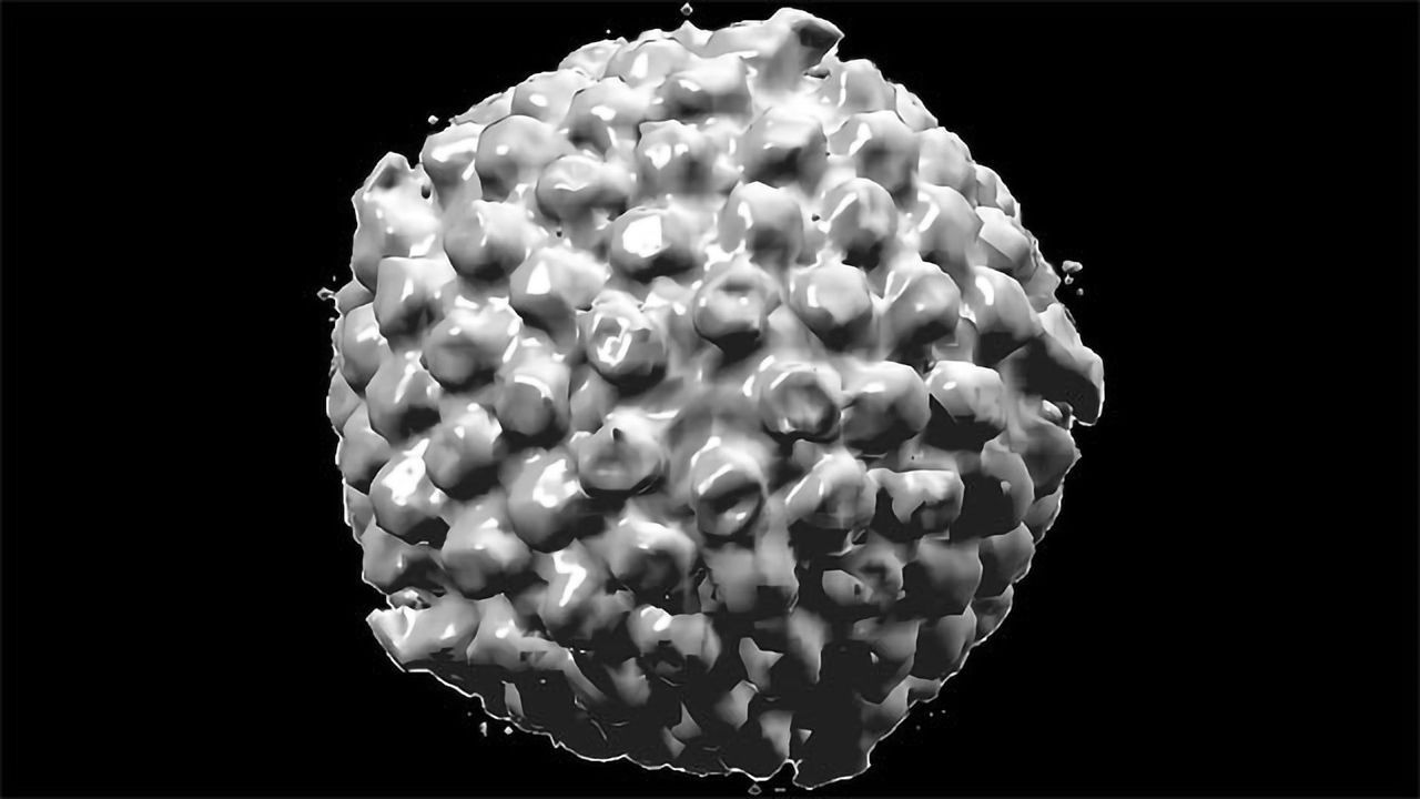 Herpes Virus Code Cracked