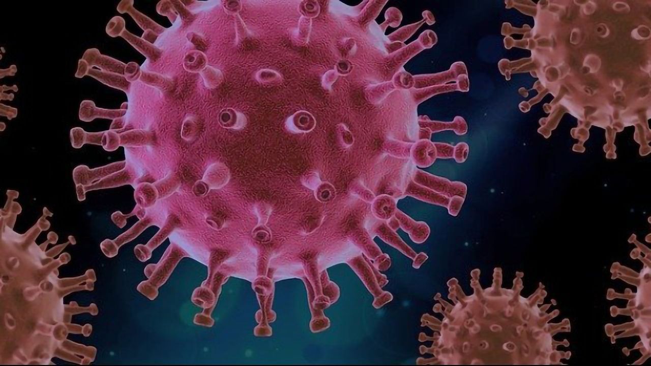 Bringing Order to the Virosphere