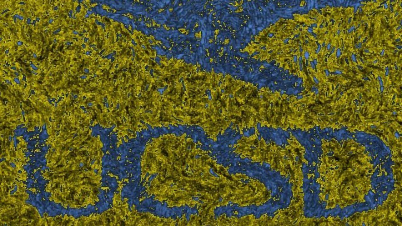 Communities of Bacteria Have a Working Memory