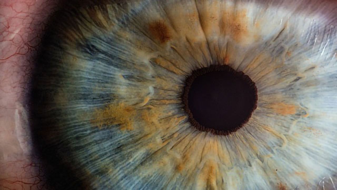 Eye Pupil Size Changes Are Linked to Decision-making