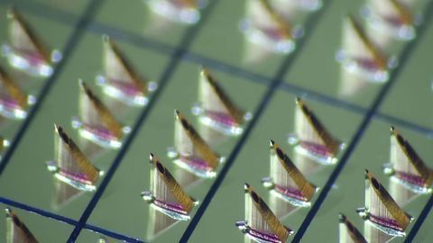 NanoPass Collaborates with Pharma Partners in COVID-19 Vaccine Development