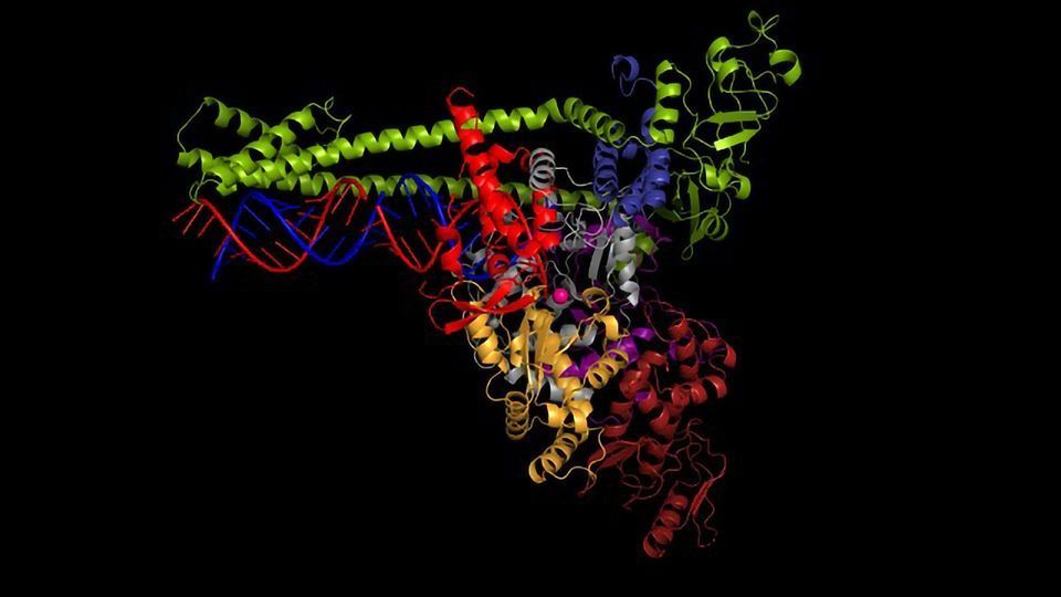 Researchers Solve Structure of SARS-CoV-2 Viral Copy Machine content piece image