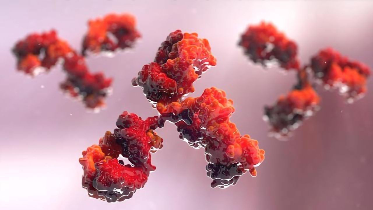 Creating Synthetic Antibodies With Bacterial Superglue To Neutralize Viruses