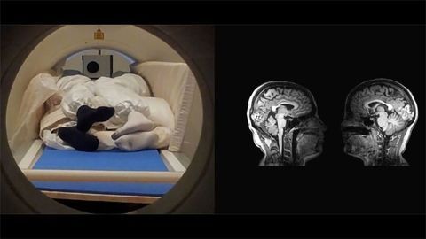 MRI and Chill? New Technique Allows Couples To Have Their Brains Scanned Simultaneously