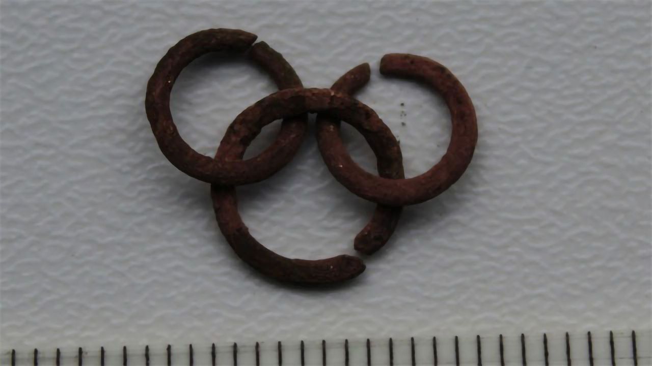 Chemical Analysis of Warship the Mary Rose Sheds Light on Conservation