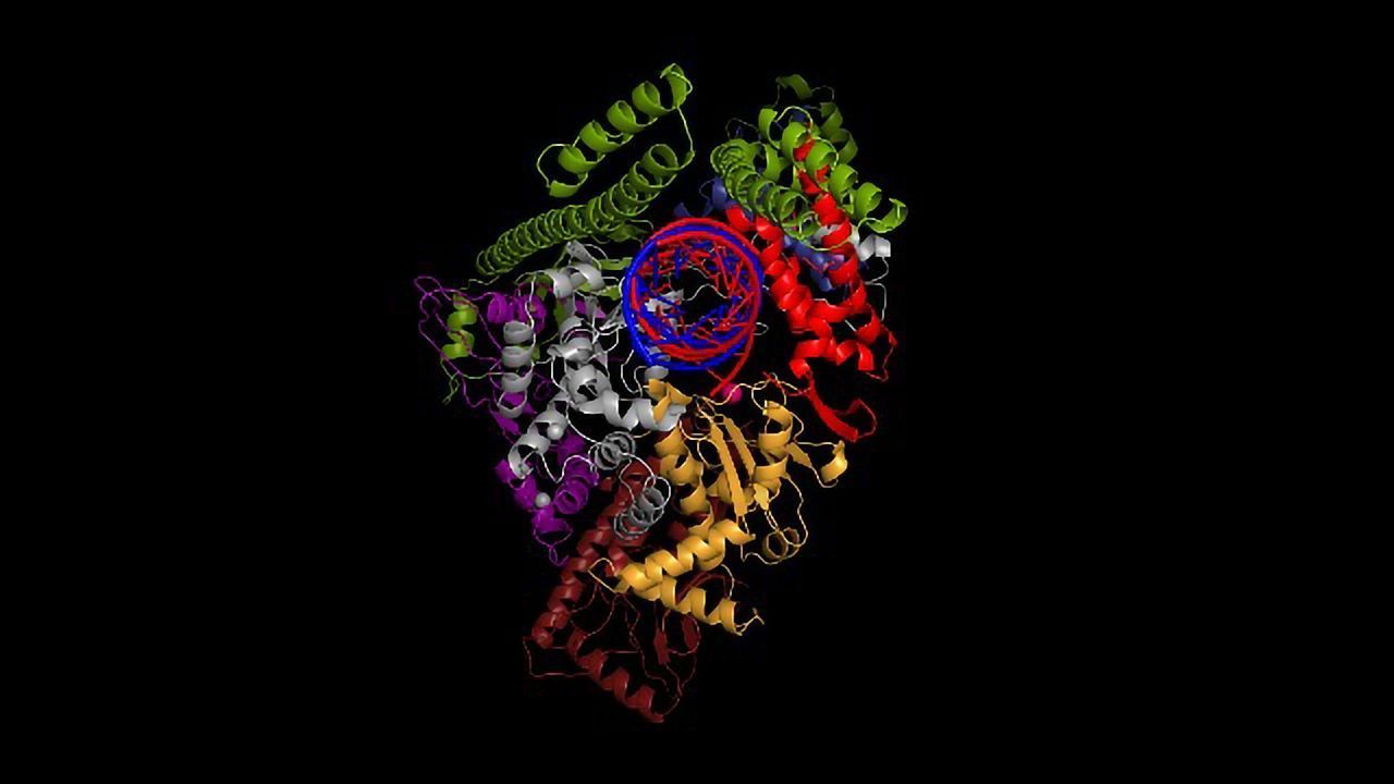 Up Close and Personal With SARS-CoV-2's Replication Machinery