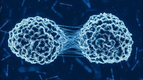 Horizon Discovery Expands OncoSpan Reference Standards to FFPE and Liquid Biopsy