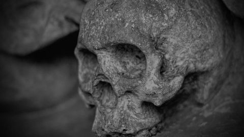 Bone Analysis Reveals How Long a Body Has Been Underwater