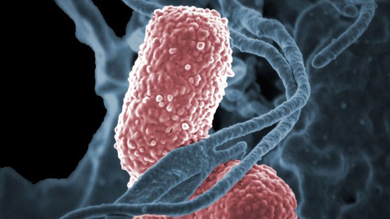 Singularly Resistant Bacteria Primed To Be Resistant to Multiple Antibiotics