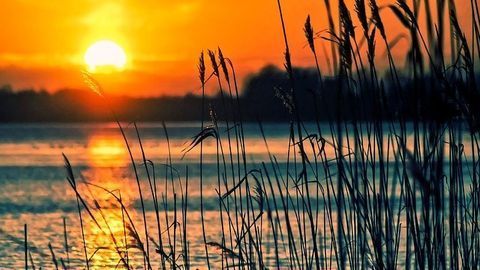 Superoxides Could Help To Break Down Organic Matter in Water