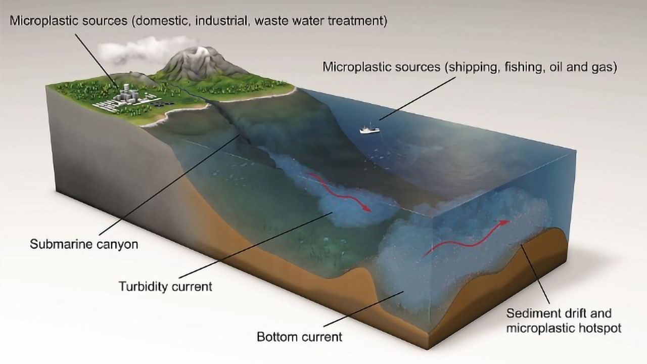 Highest Ever Density of Microplastics Discovered on Seabed
