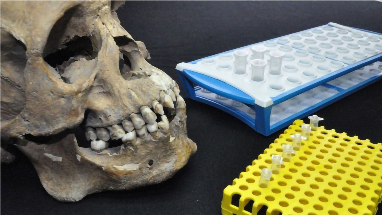 Story of the First-generation Slaves Told Through Science