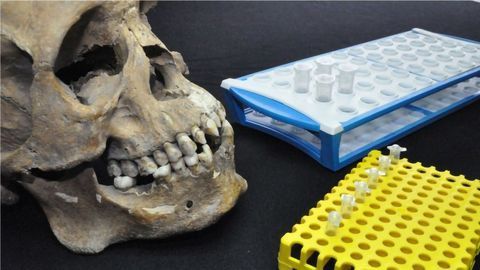 Story of the First-generation Slaves Told Through Science