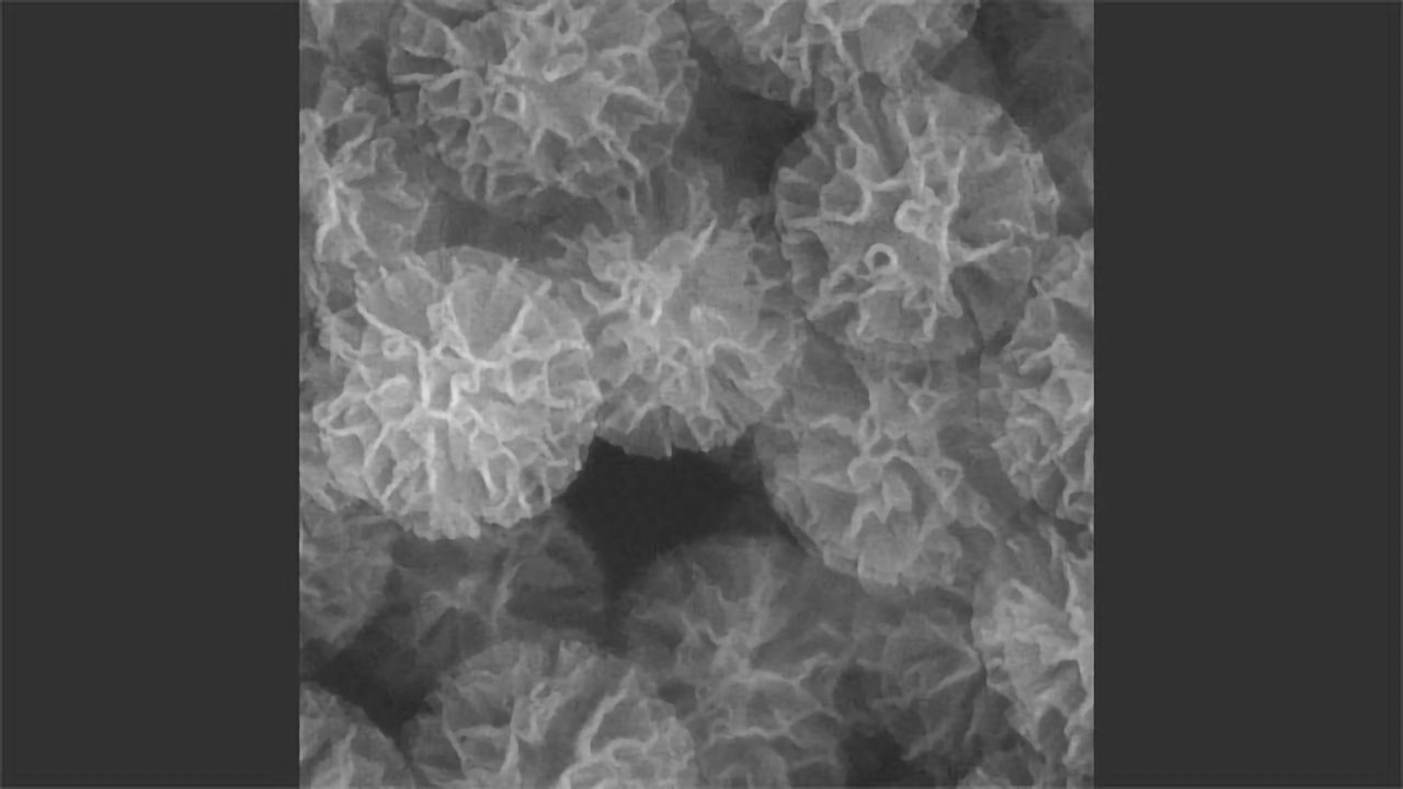 Nanodevices Aim To Halt Alzheimer's Plaque Formation