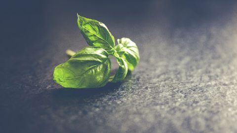 A "Plant Paternity Test" To Limit Global Food Wastage