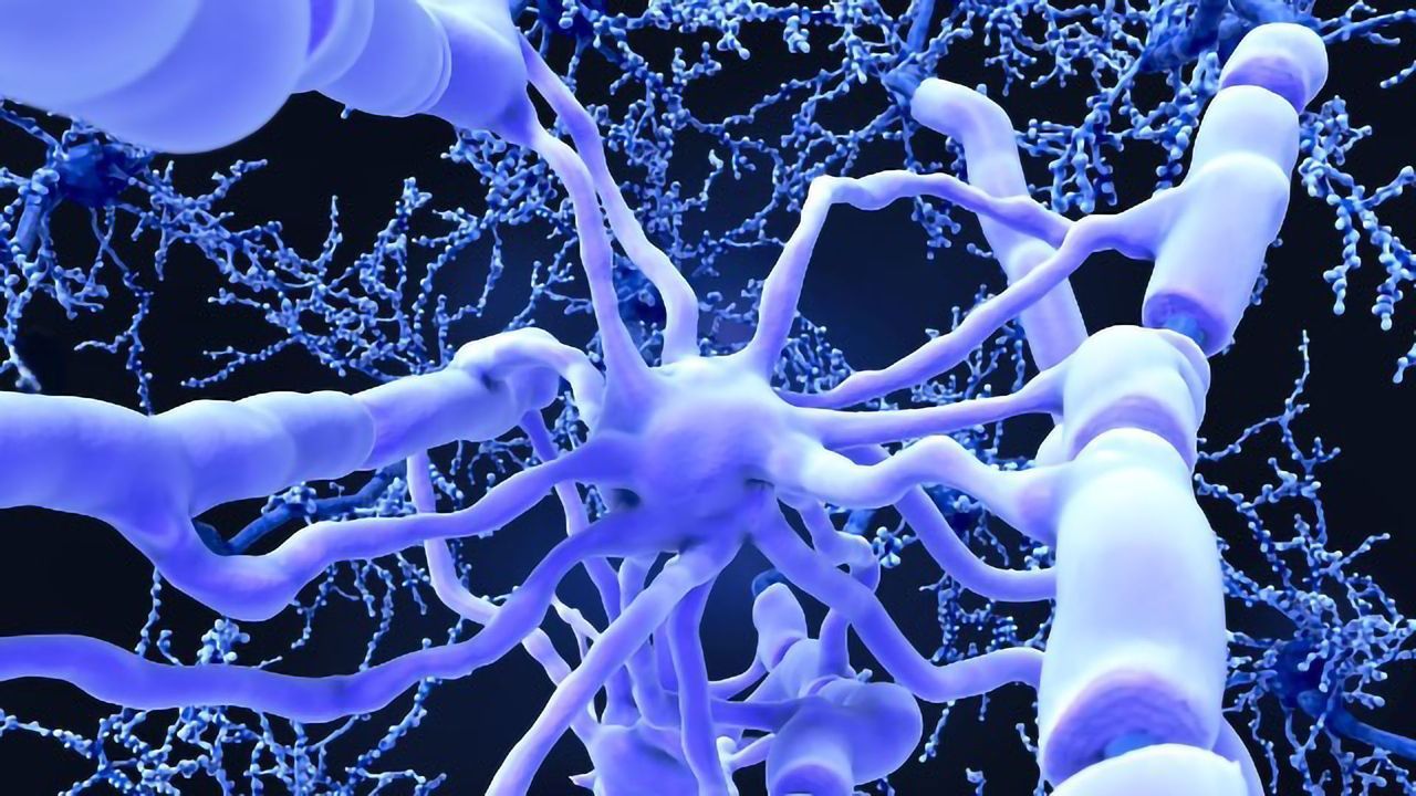 APOE4, a Genetic Culprit for Alzheimer’s Disease, Triggers Leaks in the Brain’s Plumbing System