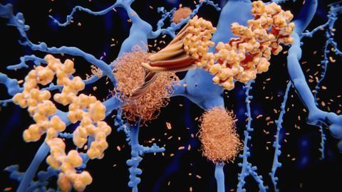 Scientists Regenerate Neurons in Mice With Spinal Cord Injury and Optic Nerve Damage