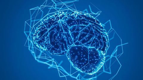 Schizophrenia Drug Combined With Radiation Therapy Improves Overall Survival in Glioblastoma Mouse Model
