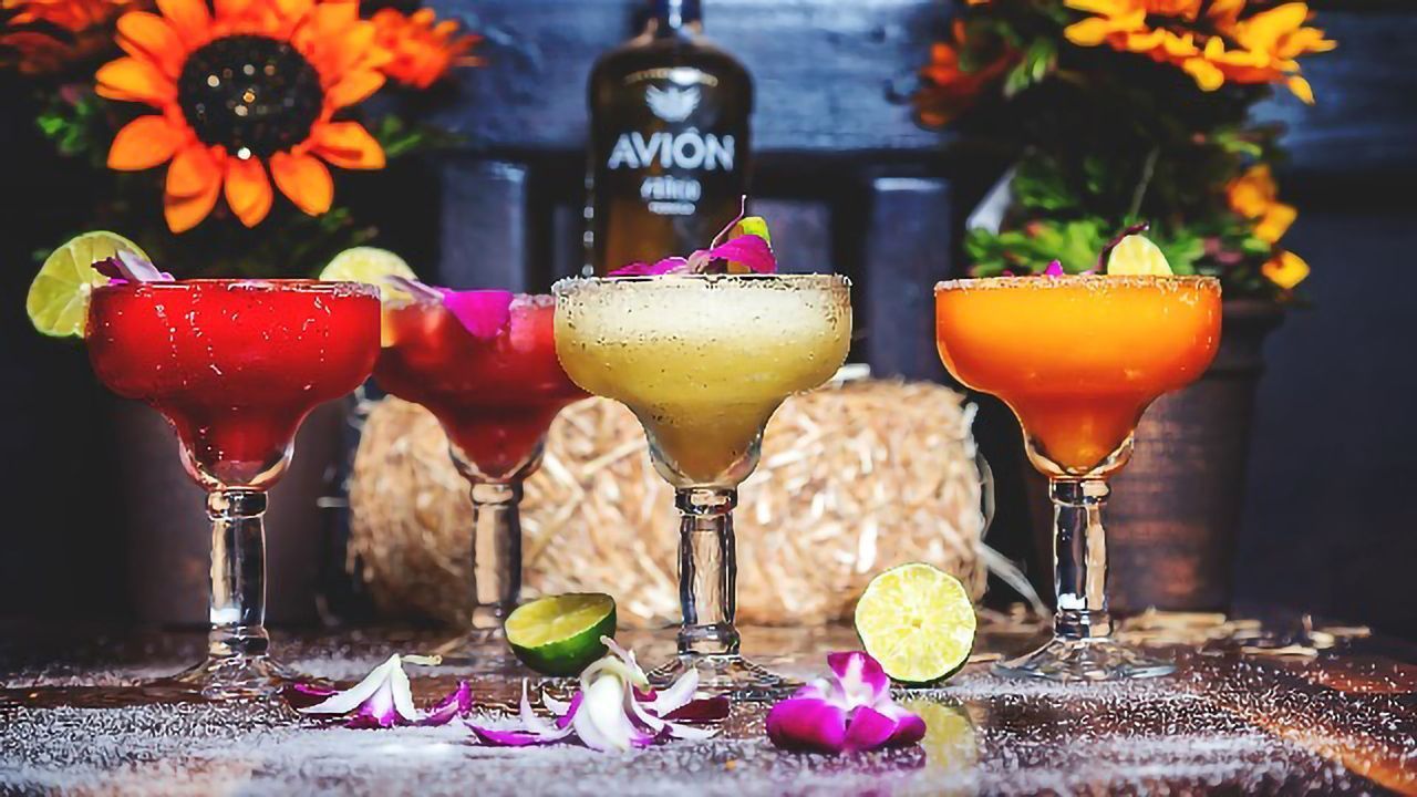 Plant Extract Combo May Relieve Hangover Symptoms