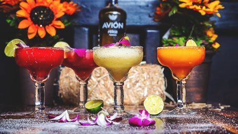 Plant Extract Combo May Relieve Hangover Symptoms