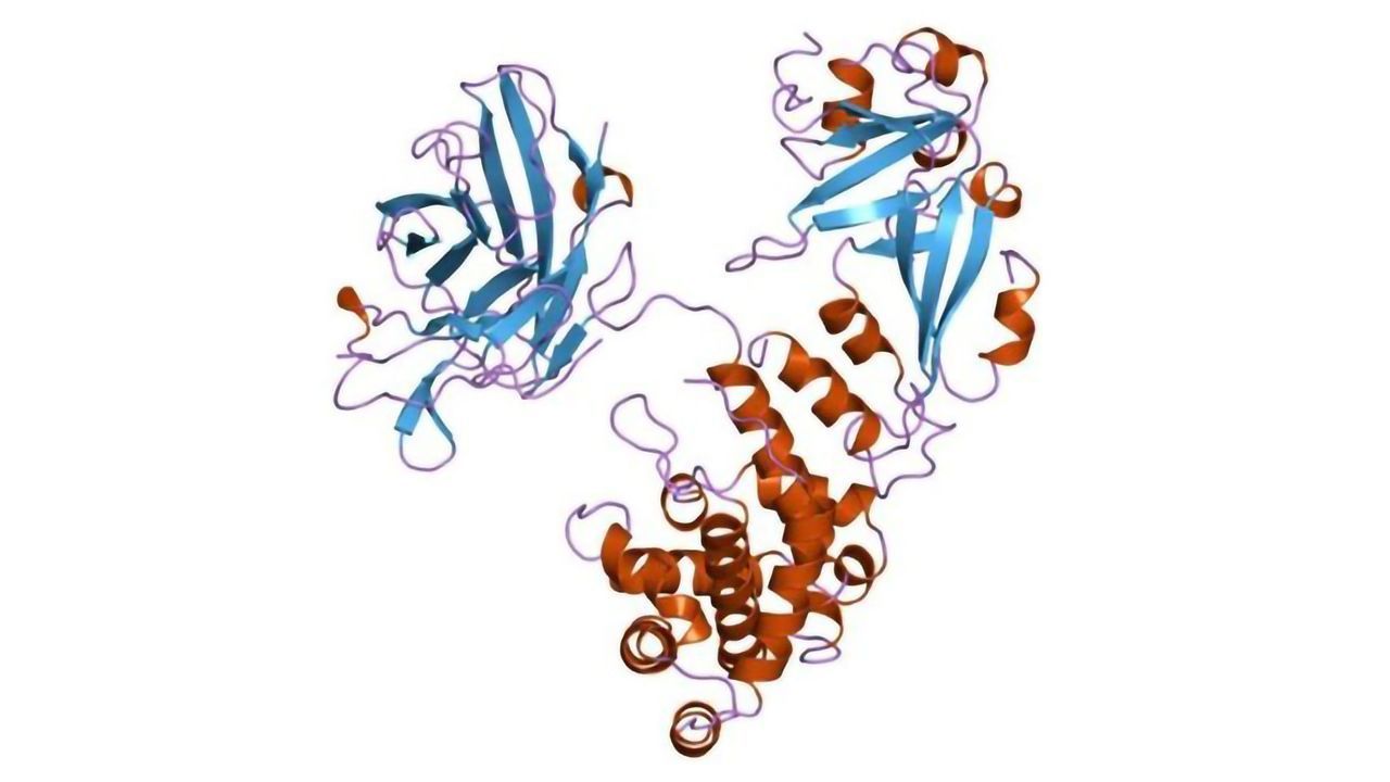 “Piggyback” Method Developed To Improve Drug Delivery of RNA Therapeutics