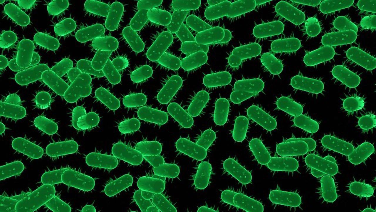 Protective Process Used by Bacteria Heralds New Strategy in the Hunt for Antibiotics