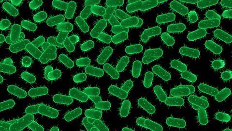 Protective Process Used by Bacteria Heralds New Strategy in the Hunt for Antibiotics