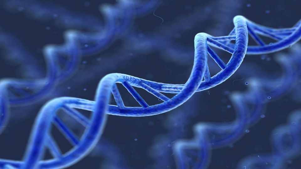 DNA Mutations Result From DNA Damage and Inaccurate DNA Repair ...