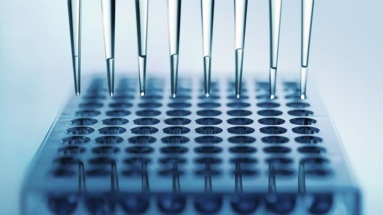 Drug Screen Identifies Niclosamide and Ciclesonide As Antiviral Candidates Against SARS-CoV-2