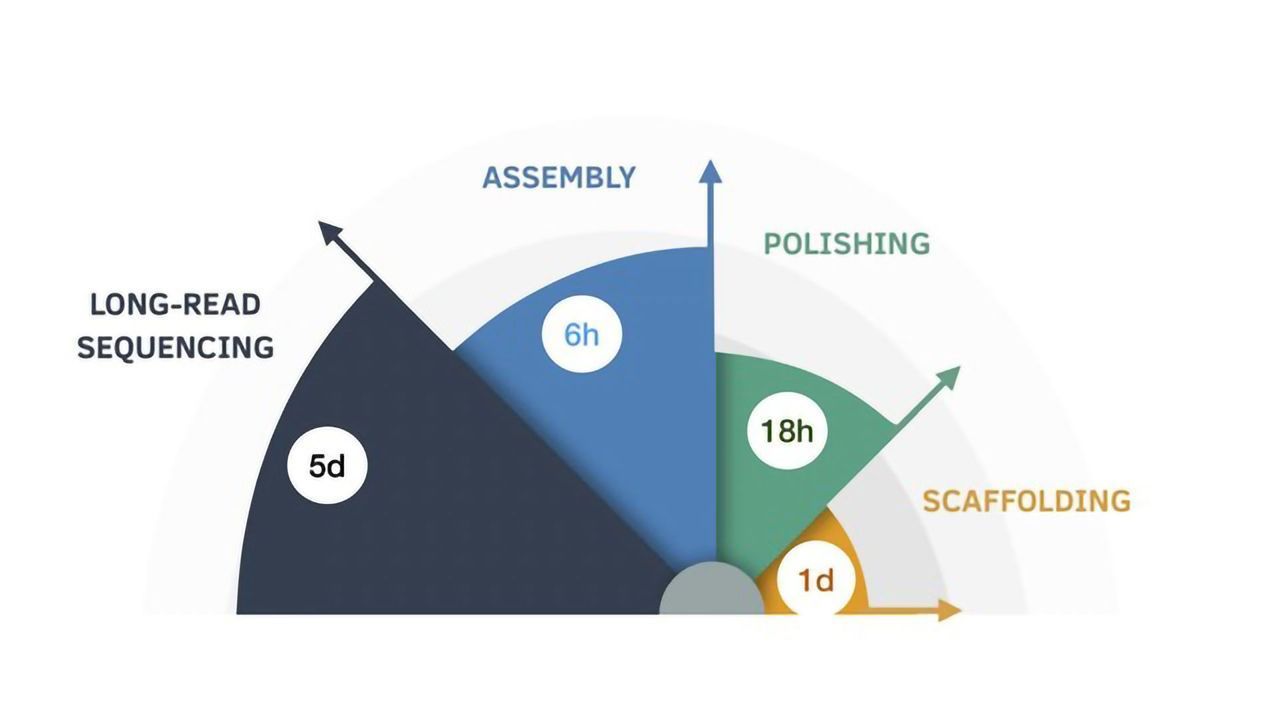 Eleven Human Genomes Sequenced and Assembled in Nine Days