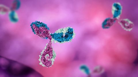 Bio-Rad Launches Anti-Certolizumab Pegol Antibodies